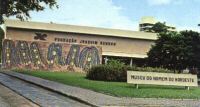 Museu do Homem do Nordeste