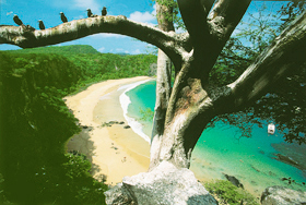 ilha de Fernando de Noronha