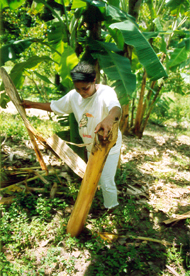 economia de Salgueiro, Pernambuco